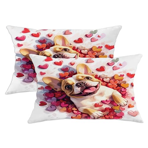 Set di 2 federe per cuscini con bulldog francese, 30 x 51 cm, morbide, per San Valentino, con cerniera, in velluto, decorazione per la casa, divano, soggiorno, letto