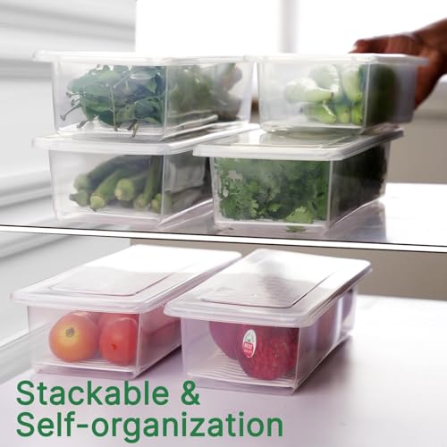 Image of LEMBOSE Fridge Storage Containers (Pack of 2) with Removable Drain Plate & Secure-Sealing Lids, Fridge Storage Boxes Keep Fruits, Vegetables Fresher, Container Box, 1500 ML (Transparent)