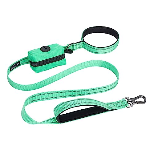 EXCELLENT ELITE SPANKER Reflective Nylon Dog Training Leash Strong Durable Dog Leash 5 Feet Long 1" Wide with Poop Bag Holder for Small and Medium Dog(Green)