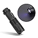 Taschenlampen, Violette Taschenlampe, 395/365 Nm Schwarzlicht-Taschenlampe, Tragbarer -Lichtdetektor für Unsichtbare Tintenstifte, Hunde, Katzen, Haustiere, Urinflecken, Mini-Geraderöhre für