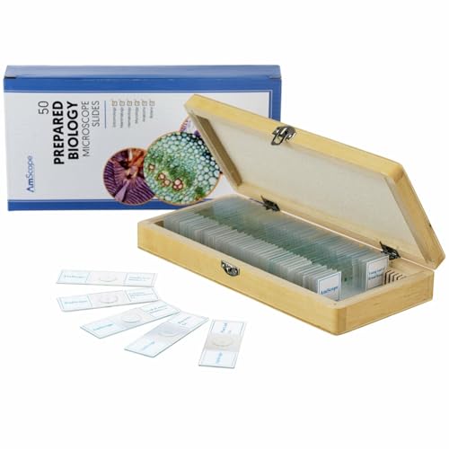 Image of AmScope - 40X-2500X LED Binocular Compound Microscope with 3D Stage, 5MP Digital Camera, 50-Piece Prepared Slides Set, and 3-Piece Precision Tweezers Set - VB-B120C-PRO
