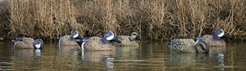Higdon Outdoors Standard Blue Wing Teal Duck Decoys, Foam-Filled #TOP1