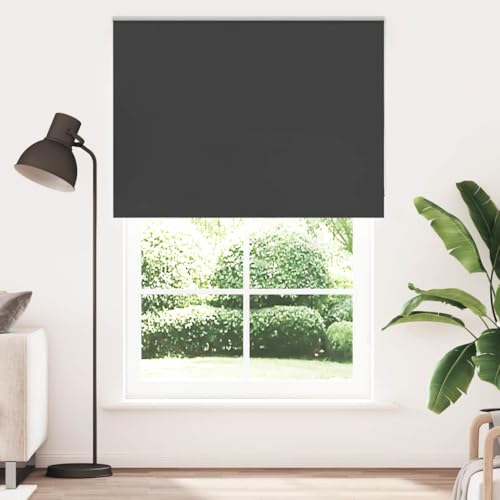 vidaXL Verdunkelungsrollo Schwarz 165x210 cm Stoffbreite 161,6 cm, Rollo, Klemmfix, Thermorollo, Verdunklungsrollo, Klemmrollo, Fensterrollo