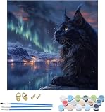 Pintar por Numeros Adultos Gato, Cuadros para Pintar por Numeros Aurora, DIY Manualidades Adultos, Paint by Numbers Adult con Pinceles y Pigmento Acrílico, para Decoración Hogar Regalo 30x30cm X-7701