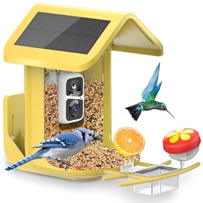 Bird Feeder with Camera Solar Powered : Smart Camera Bird Feeder 2K Live Steam for Outdoor, 5MP Photos, AI Identification, 1.8L Large Capacity, Gifts for Mom Dad, Built in Dual Solar Panel