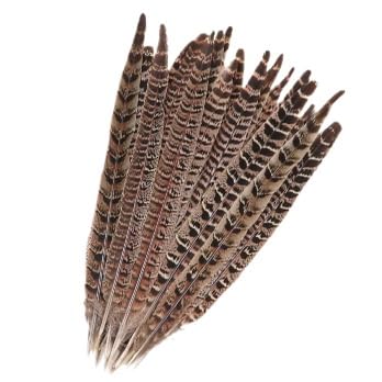 10 Pcs Pheasant Tail Feathers Natural Pheasant Feathers Floral Arrangement Feathers Feather Wedding Centerpiece Home Party Decorations Feathers and Boas