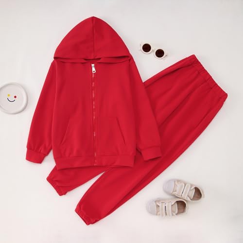 CM C&M WODRO AFUKUIA Girls Solid Jogger Set Active Zipper Long Sleeve Hoodie Sweatshirt and Sweatpants Kid Tracksuit Outfit3