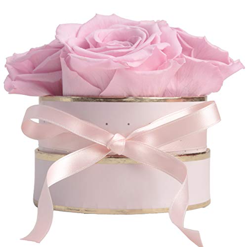 ROSEMARIE SCHULZ Heidelberg Scatola di rose rotonda Infinity Rose – Flowerbox 4 rose conservate durevole 3 anni – Regali per donne e mamma (rosa rosa)