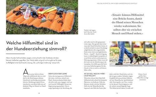 Hunde erziehen – mit der 5er-Basis: Klar kommunizieren, verlässlich führen, freudig erziehen.