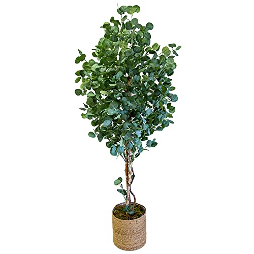 Maia Shop Eucalipto Troncos Naturales, Elaborados con los Mejores Materiales, Ideal para Decoración de hogar, Árbol, Planta Artificial (180 cm), Mixtos