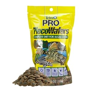 Tetra PRO PlecoWafers 5.29 Ounces, Nutritionally Balanced Vegetarian Fish Food for Bottom Feeders, Concentrated Algae Center