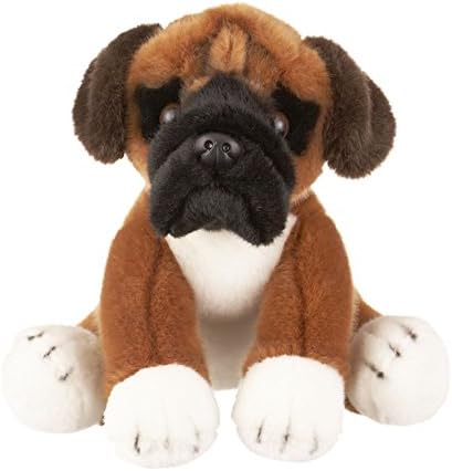 boxer dog teddy