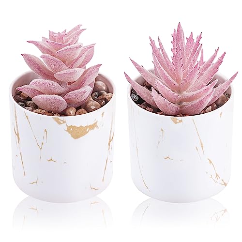 Der Rose 2 Stück Sukkulenten Pflanzen Künstliche Mini Gefälschte Sukkulenten Pflanzen für Home Office Schreibtisch Zubehör für Frauen