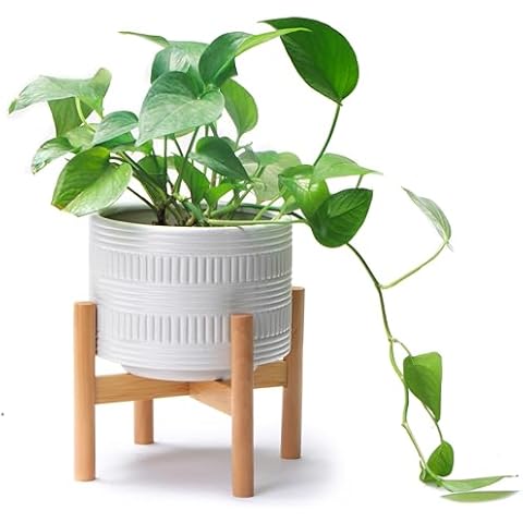 Kurrajong Farmhouse White Plant Pot with Stand | 7.25" Ceramic Planter Pot with Wood Stand for Indoors | Bamboo Plant Stand with Pot. Plant not Included | White Planter Pot is 7.25" Wide x 5.75" high Cover