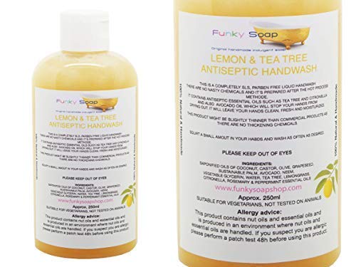 Funky Soap 1 Bottiglia Limone e Tea Tree Antisettico Lavaggio a Mano, senza SLS, 250ml