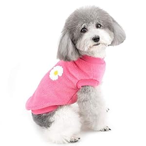 ZUNEA Small Dog Jumper Winter Warm Fleece Jacket Coat Puppy Clothes Soft Comfortable Velvet Sweater Pet Pullover Apparel Christmas Chihuahua Clothing for Dogs Girls Hotpink M