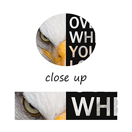 Inspirational Canvas Wall Art Motivational Animal Eagle Picture Quotes Inspiring Positive Painting Poster Print On Canvas Wall Artwork For Living Room Gym Office Framed Ready To Hang [12''W X 18''H] #TOP4