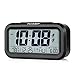 Peakeep Battery Digital Alarm Clock with 2 Alarms for Optional Weekday Mode,Snooze, Night Light (Black)