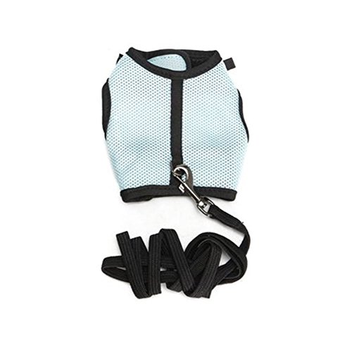 TAKEMORE7 Harnais et laisse anti-évasion pour chat, lapin, furet, cochon d'Inde, petits animaux domestiques (M,bleu) Cover