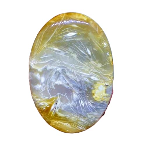Cabochon ovale fossile naturel de 49x33mm pour la création de pendentifs uniques