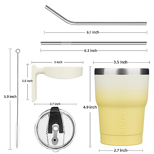 Image of BJPKPK 10 oz Mini Tumbler with Lid, Straw & Handle, Insulated Steel Cup