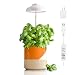 GrowLED LED Umbrella Plant Grow Light, Herb Garden, Height Adjustable, Automatic Timer, 5V Low Safe Voltage, Ideal for Plant Grow Novice Or Enthusiasts, Various Plants, DIY Decoration, White