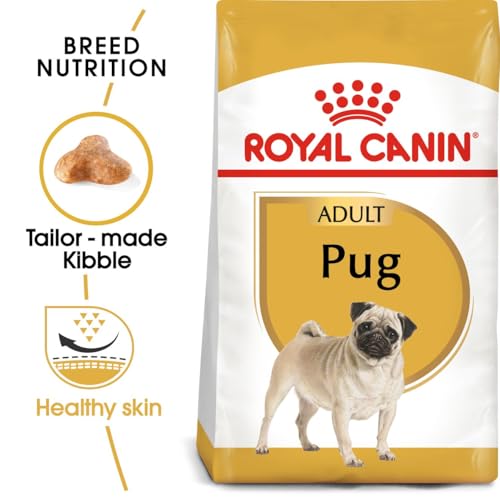 Royal Canin Pug | 1,5 kg | Trockenfutter für ausgewachsene Möpse | Zur Unterstützung des Fells und der Verdauung | Für Hunde ab dem 10. Lebensmonat