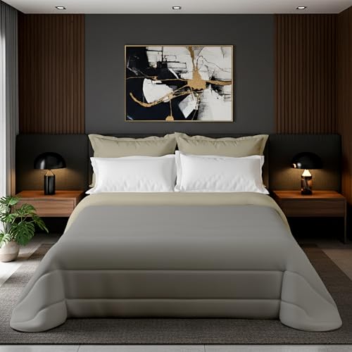 Zucchissime Trapunta Invernale Matrimoniale 260x265 | calda e leggera, double face, design elegante | Coperta Matrimoniale Invernale in microfibra | comfort avvolgente e qualità sartoriale 350 g/m²