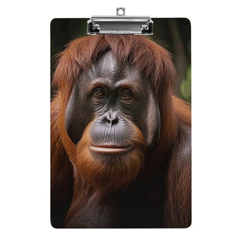 Porte-bloc acrylique Orangutan A4 31,8x21,6 cm pour bureau