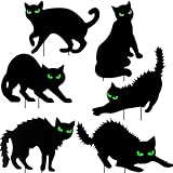 Halloween Deko Schwarze Katzen – 6er Set Outdoor Gartendeko mit Ständern, wasserdicht & wetterfest, leuchtende Augen im Dunkeln, gruselige Katzensilhouetten für Garten, Rasen & Halloween Party