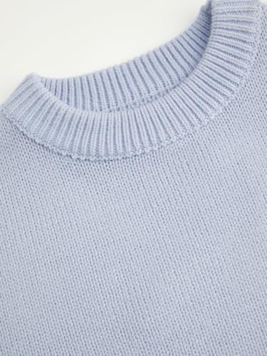 Image of CIDER Women's Goose Graphic Sweater Cute Knit Chunky Cropped Sweater Pullover Tops