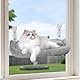 Focenat Fensterliege für Katzen, 60x30cm Katzenbett Fenster Hängematte Katzenhängematte, Faltbare Katzen Hängematte mit Starken Saugnäpfen, Katzenliege Katzenhängebett für Große Katzen Bis zu 25kg