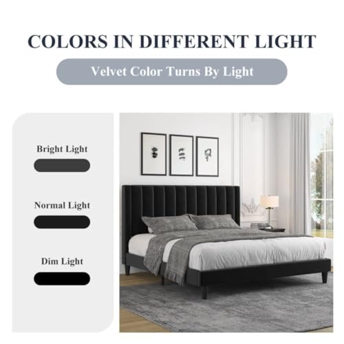 Image of SUHAVI Upholstered Bed King Size Without Storage Solid Sheesham Wood Modern Premium Fabric Upholstery Cushion Headboard | King Bed for Bedroom Wooden Double Bed Cot 1 year warranty 78x72 Black
