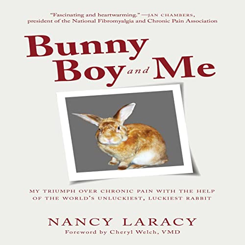 Bunny Boy and Me by Nancy Laracy episode artwork