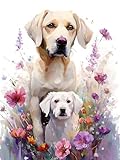 Pintar por Numeros Adultos, Niños, DIY Paint by Numbers, Cuadros para Pintar por Numeros, Incluye Lienzo, Pincel, Pigmento Acrílico, Sin Marco, Decoraciones para El Hogar 45x60cm (Perros flores) B-81