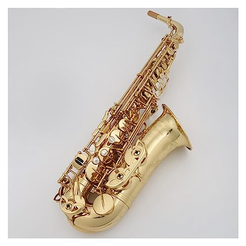 AgTbNX bL{fB vtFbVi AgTbNX P[Xƃ}EXs[Xt TbNX Zbg