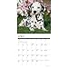 Willow Creek Press, Just Dalmatians 2026 Wall Calendar, 12'' X 12'', 18-Month Calendar with Stapled Binding