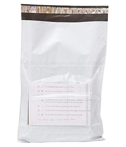 Securment Tamper Proof Courier Bag with Pod (10 x 12) - Pack of 100 (B01JBZCP5C) Amazon Price History, Amazon Price Tracker