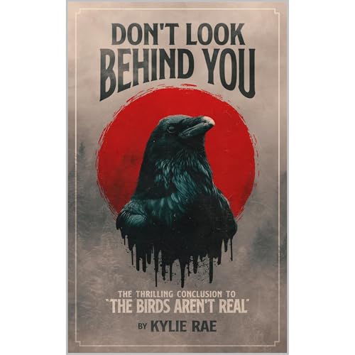 Don't Look Behind You Audiolibro Por Kylie Rae arte de portada