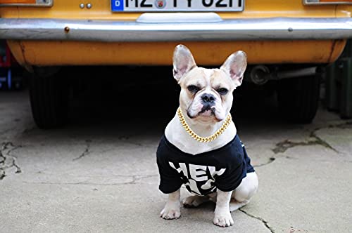 Halukakah Goldkette Iced Out für Hund,Diamant Kubanische Halskette Kragen 14MM 18 Karat Echt Vergoldet 40cm Größe S mit KOSTENLOSER Geschenkbox,Nur Dekoration