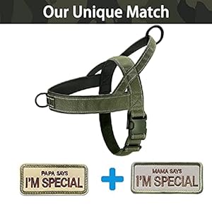   No-Pull-Dog-Harness-for-Medium-Large-Dog-Reflective-Escape-Proof-Adjustable-No-Pulling-Dog-Harness-Dog-Harness-Green-L