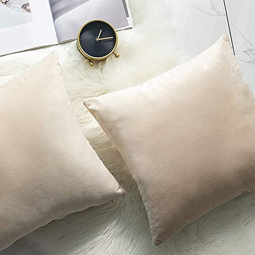 Image of Decorative Holland Velvet Cushion Square Pillow Covers Pillowcases for Sofa Bedroom with Invisible Zipper || (Cream, Set of 5 Piece (16X16 Inches)