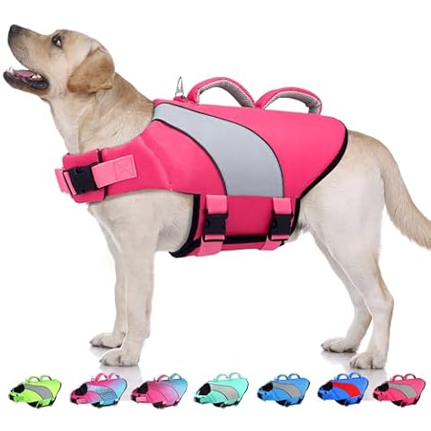 Doglay Dog Life Jacket, Reflective Swim Vest for Swimming, Pink & Gray, XL — $14.74 (30% off)