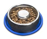 Wiser Pet Plato de Perro para Alimentar Lento | Comida Sana Anti tragar Acero Inoxidable...