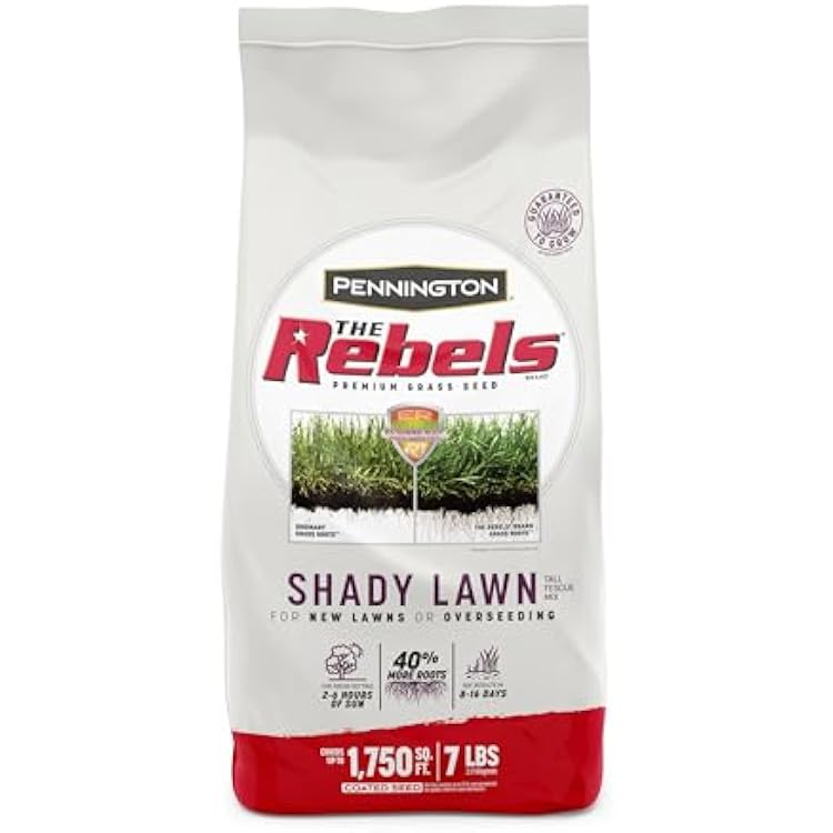 Pennington The Rebels Tall Fescue Shady Grass Seed Mix 7 رطل
