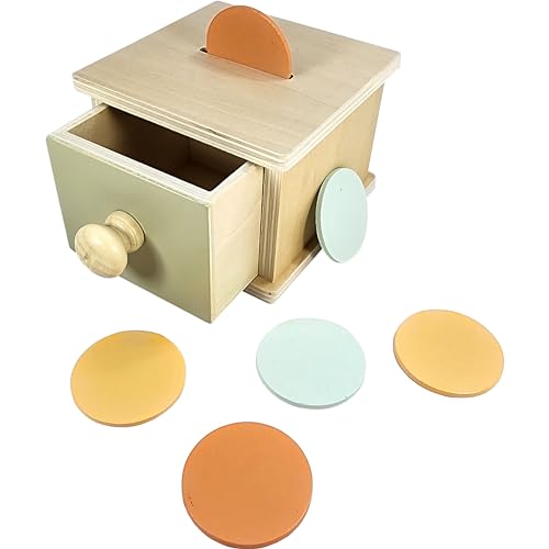 Montessori Wooden Coin Bank Shape Sorting Toy for Toddlers