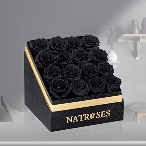 Natroses Forever Preserved Roses In A Box, 100% Real Roses That Last Up To 3 Years, Flowers For Delivery Prime Birthday, Valentines Day Gifts For Her (Black) #TOP2