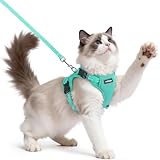 rabbitgoo Cat Harness and Leash, Escape Proof Vest with 3 Adjustable Buckles, Soft Comfortable Kitten Harness, Easy to Wear, Reflective for Safe Outdoor Walking, Medium, Green