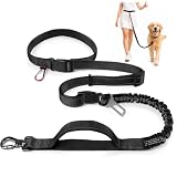 PETCARE 4 in 1 Hands Free Dog Leash with Car Seatbelt Buckle, Shock Absorbing Bungee Dog Waist Leash Belt for Running Walking Hiking, Dual Handles & Reflective, Adjustable for Small Medium Large Dogs