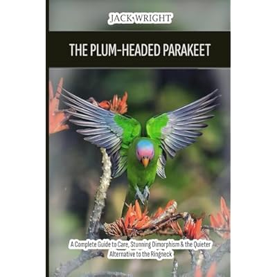 The Plum-Headed Parakeet